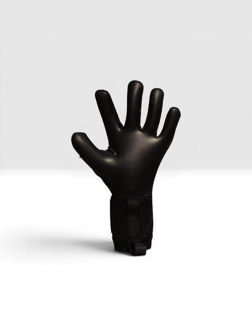ONYX